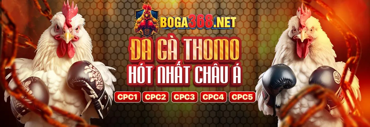 Đá gà trực tuyến web88 login với những trận đấu đỉnh cao